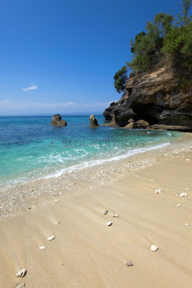 Beach in New Zealand