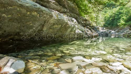 Similar – Image, Stock Photo Woman posing on tropical stream