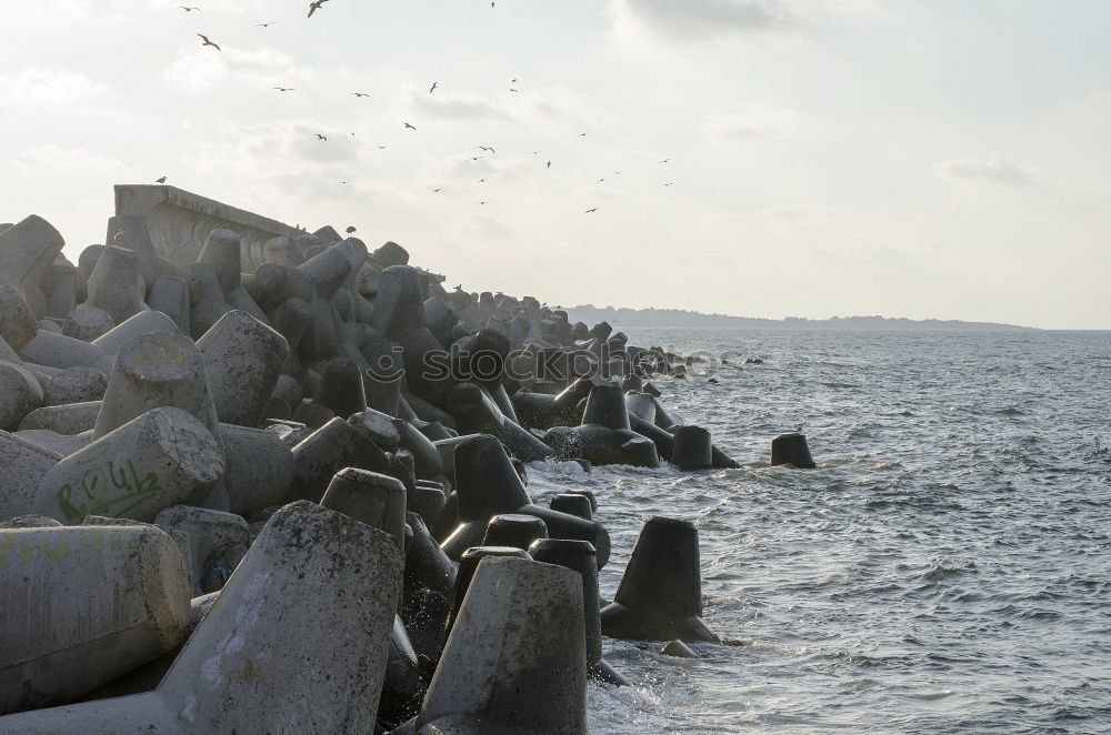 Similar – Image, Stock Photo San Francisco Idyll Water