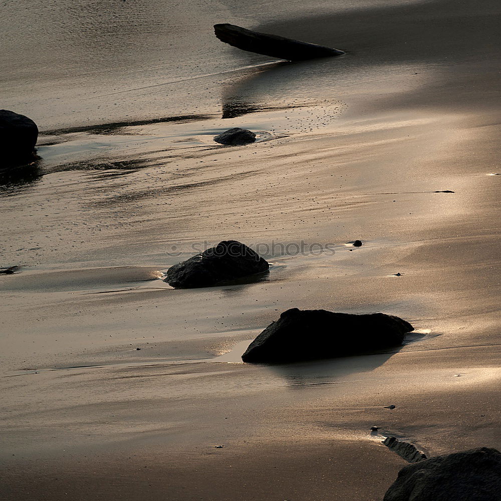 Similar – Golden Beach. Environment