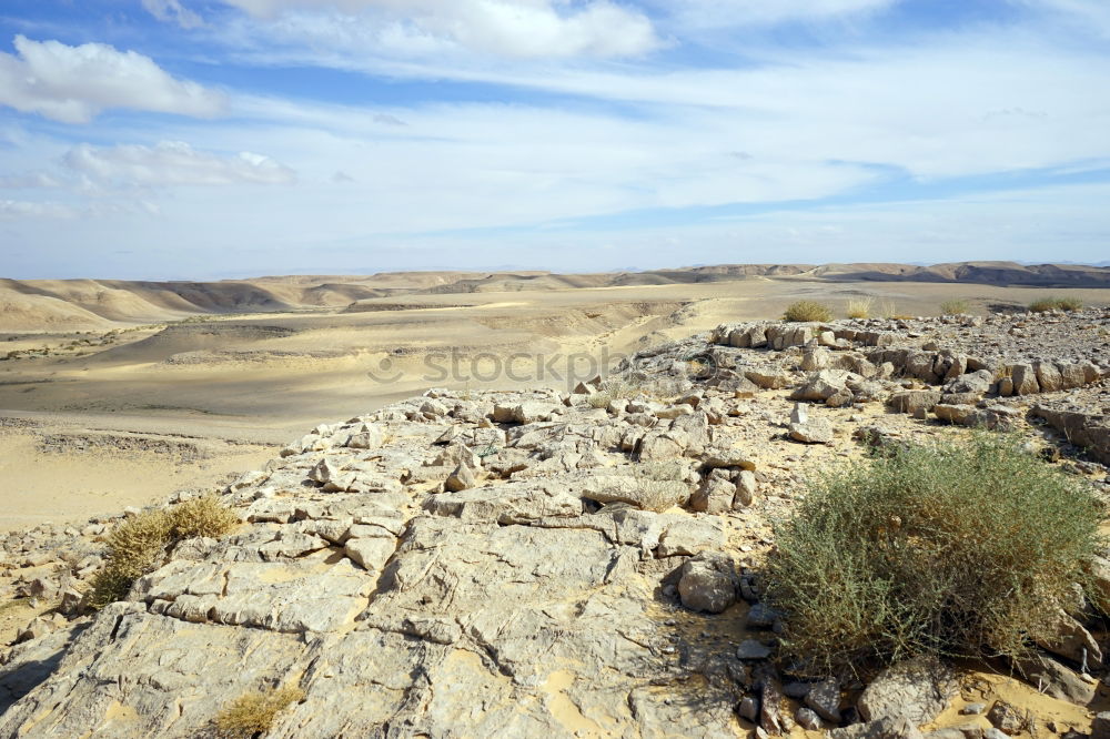 Similar – Image, Stock Photo Desert Ride III