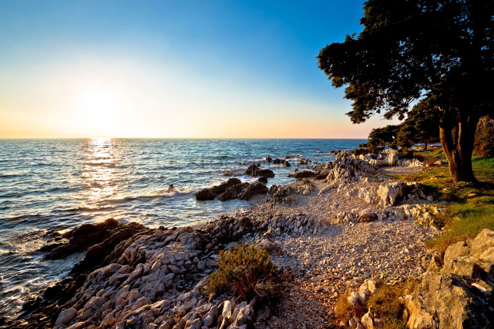 Similar – Olive trees, sea and sunset.