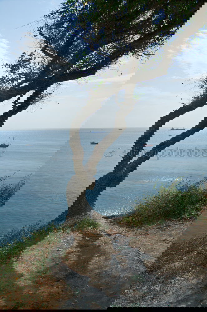Similar – Foto Bild Fenster zum Meer Strand