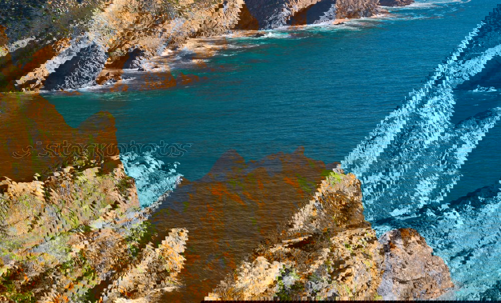 Similar – Image, Stock Photo Emerald Isle Environment