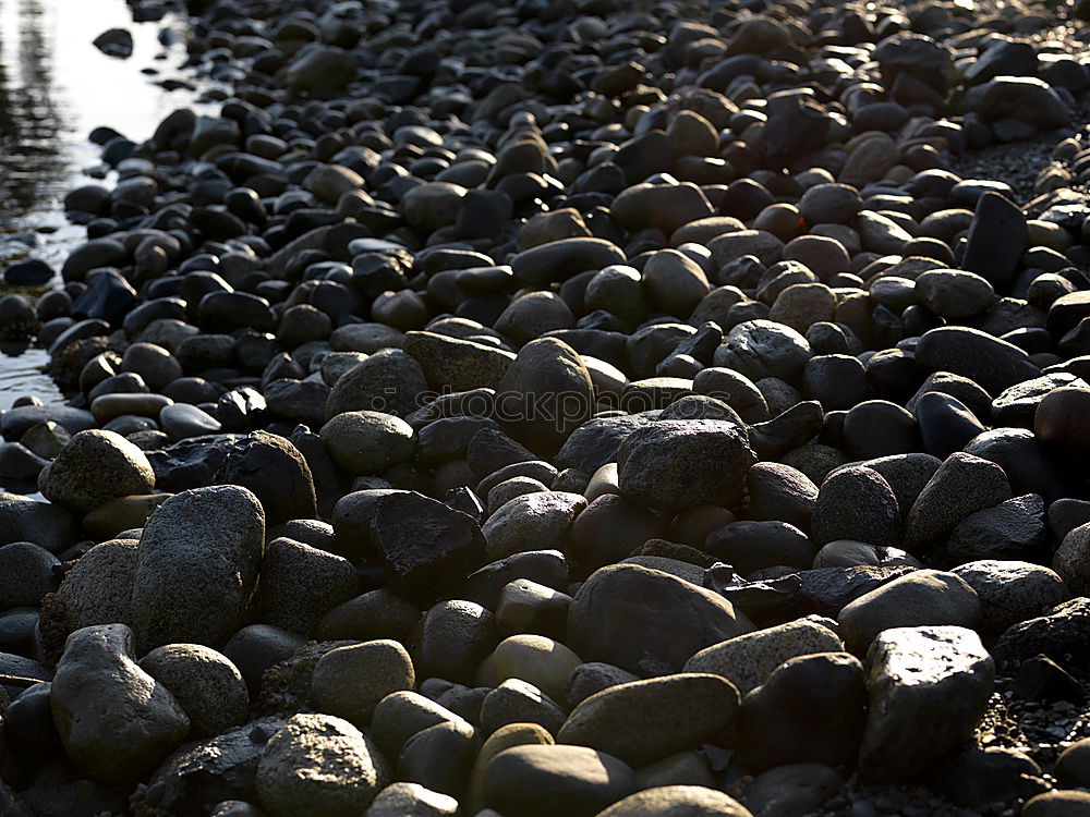 Similar – Image, Stock Photo Stone beach with a shell at the North Sea