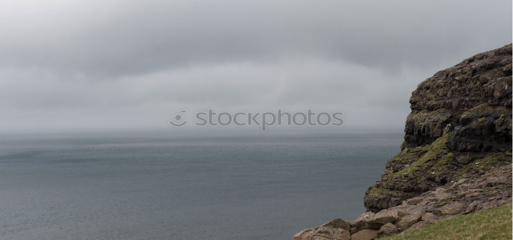 Similar – Ireland Ocean Sheep