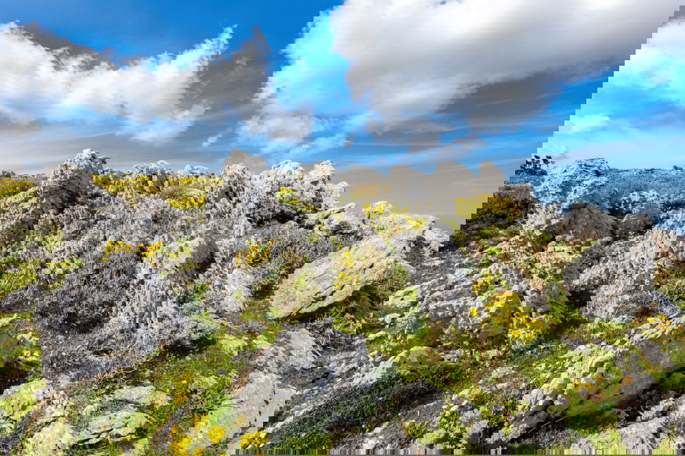 Similar – Foto Bild small people, big nature [1/5]