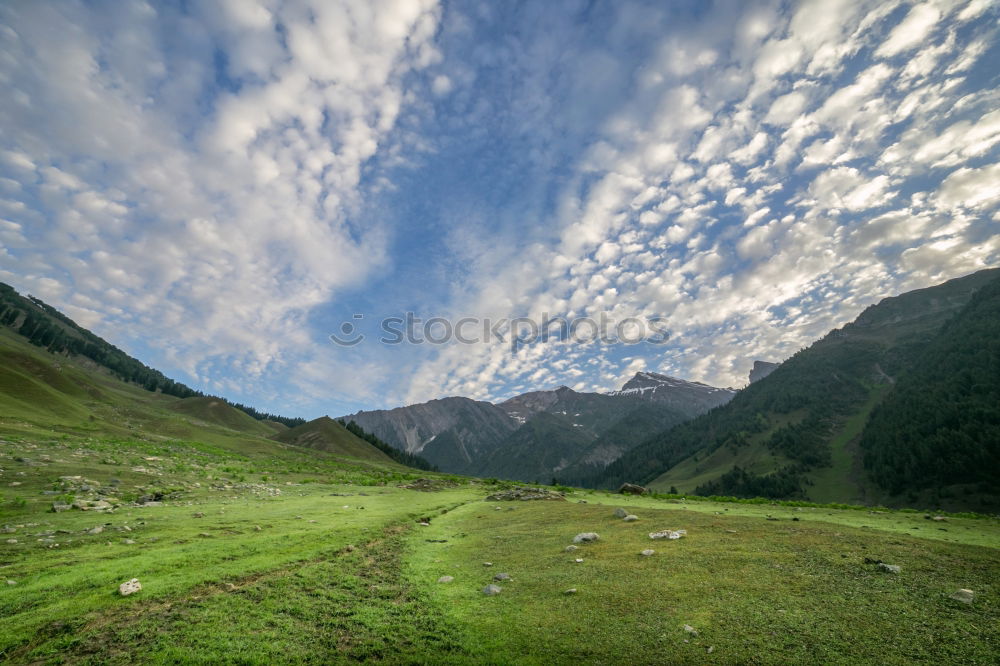 Similar – Image, Stock Photo View over the valley