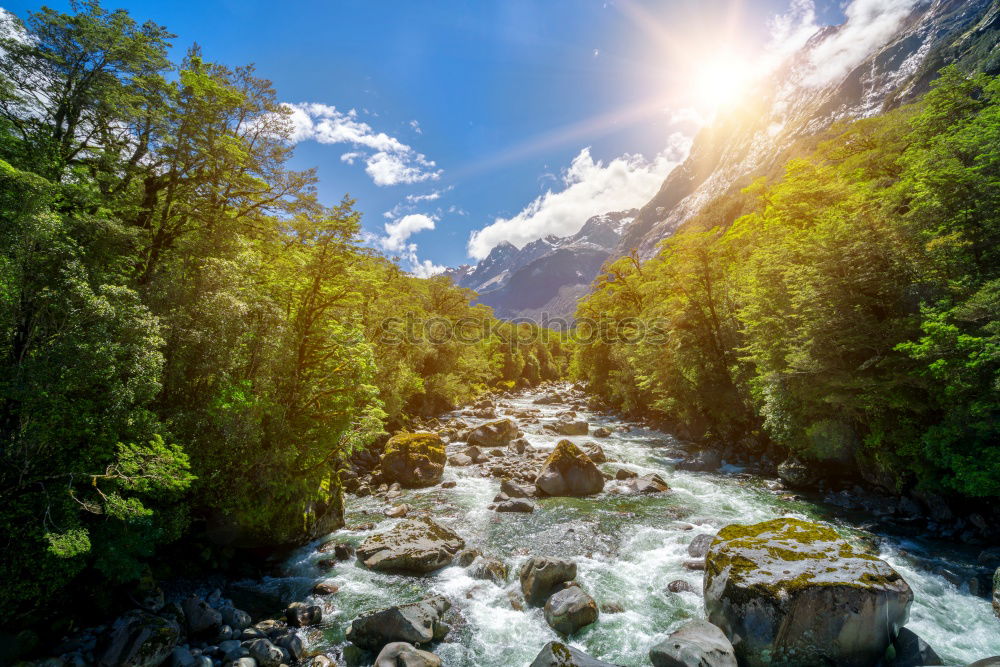 Similar – Image, Stock Photo Wild Land Well-being