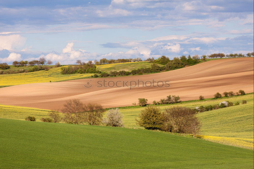 Similar – Austria spring green and yellow colza fields. Village on hills.