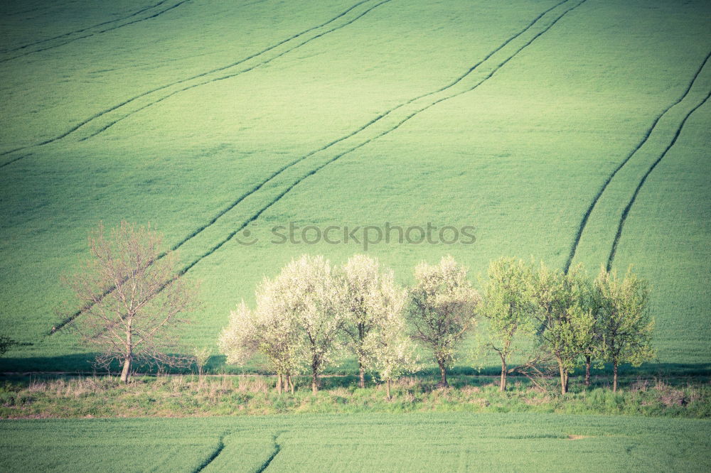 Similar – Image, Stock Photo zap, zap Landscape Earth