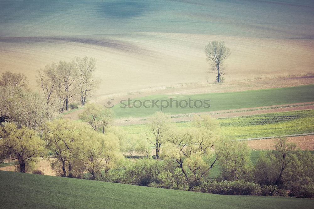 Similar – mini farm Tilt-Shift Small