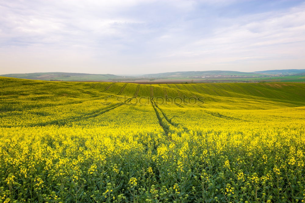 Similar – Austria spring green and yellow colza fields. Village on hills.