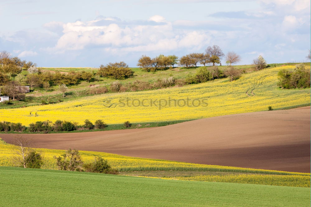 Similar – Austria spring green and yellow colza fields. Village on hills.