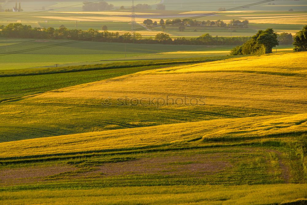 Similar – Image, Stock Photo Moselle wine Golden autumn landscape