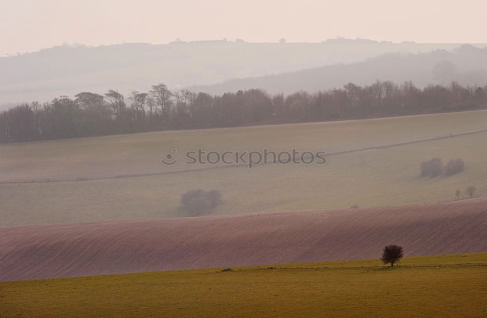 Foto Bild CHAMANSÜLZ | weites land