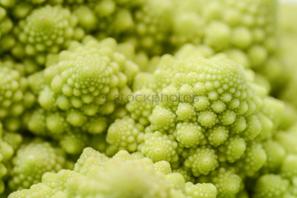 Similar – Fractal vegetables