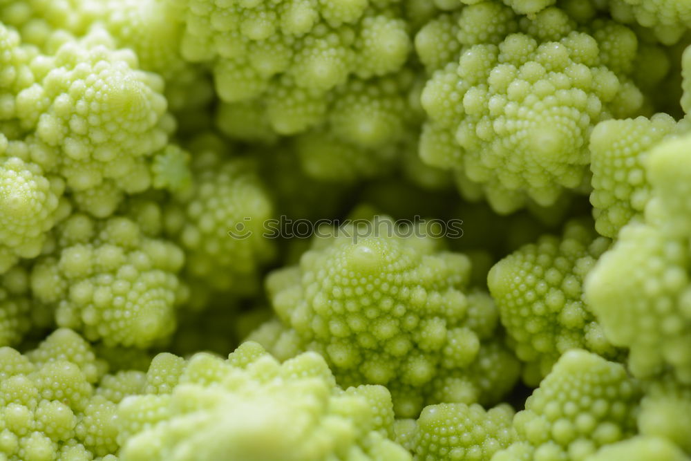 Similar – Image, Stock Photo Detail of a Romanesco cabbage