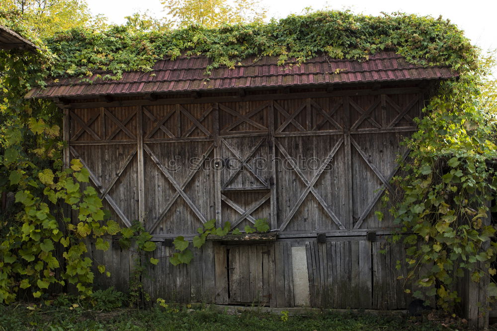 Similar – Hinterlassenschaften Haus