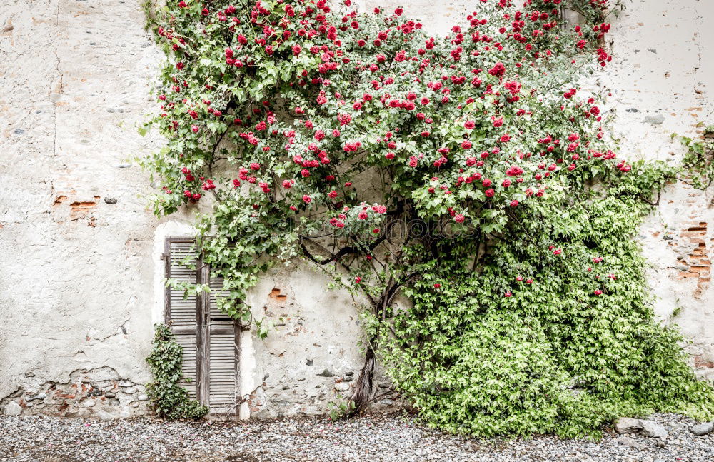 Similar – Image, Stock Photo Spain and Portugal (with hole)