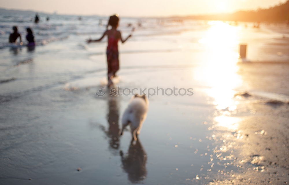 Similar – Child and dog by the sea