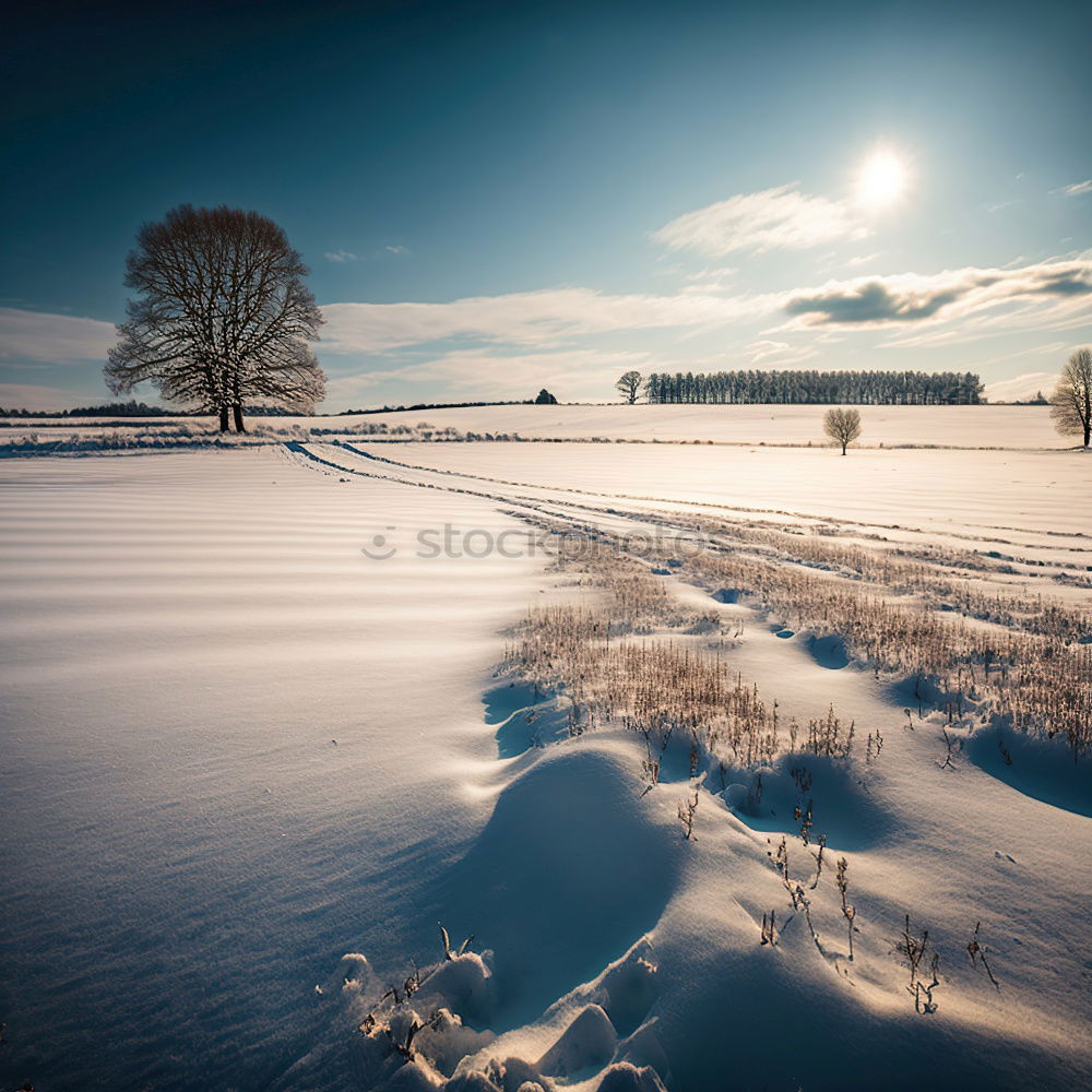 Similar – Wintersonne kalt