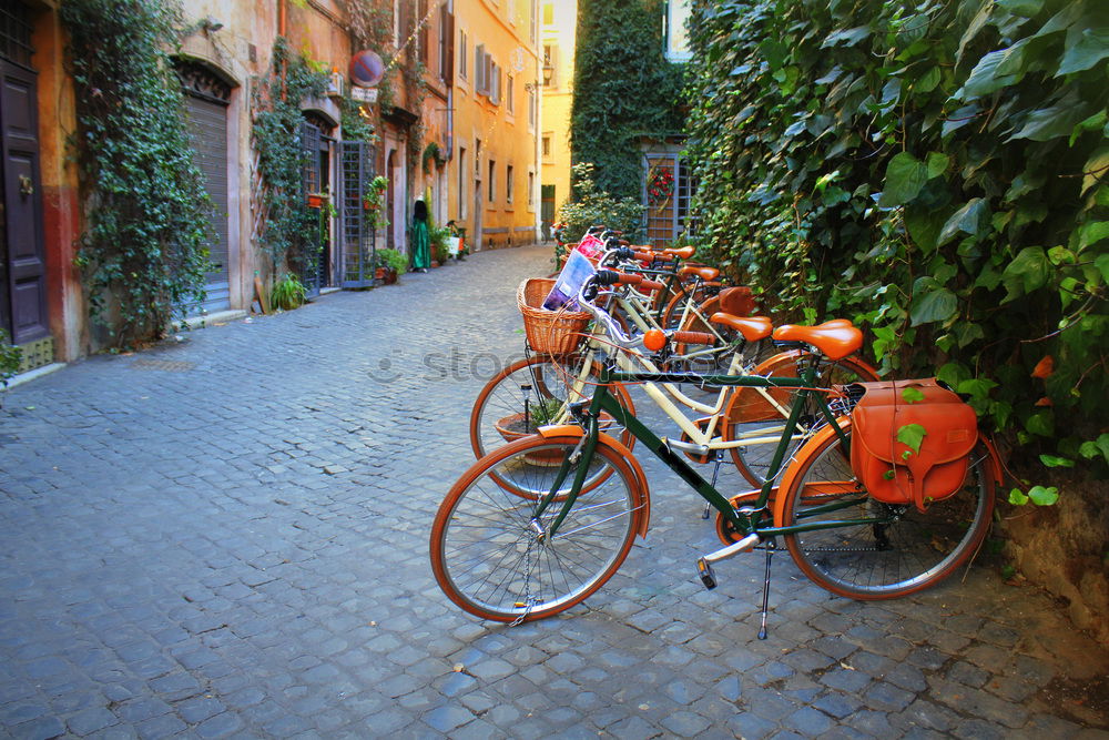 Similar – Image, Stock Photo Destroyed bicycle leaning colored house in Burano, Italy.