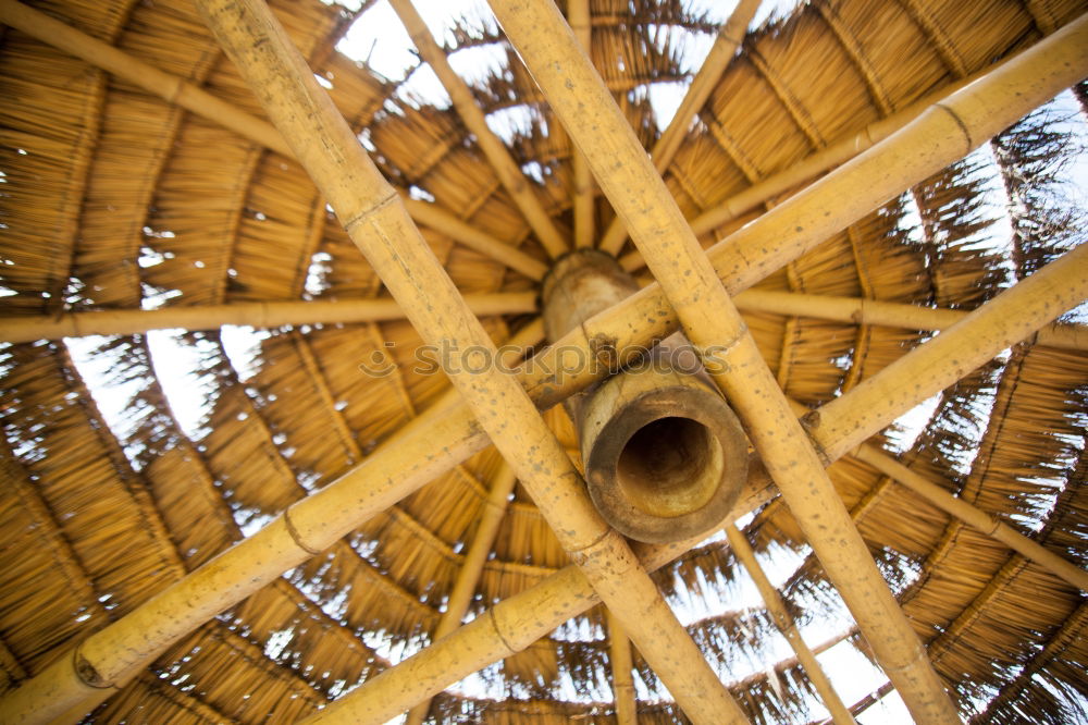 Similar – Foto Bild Viel Holz vor der Hütte