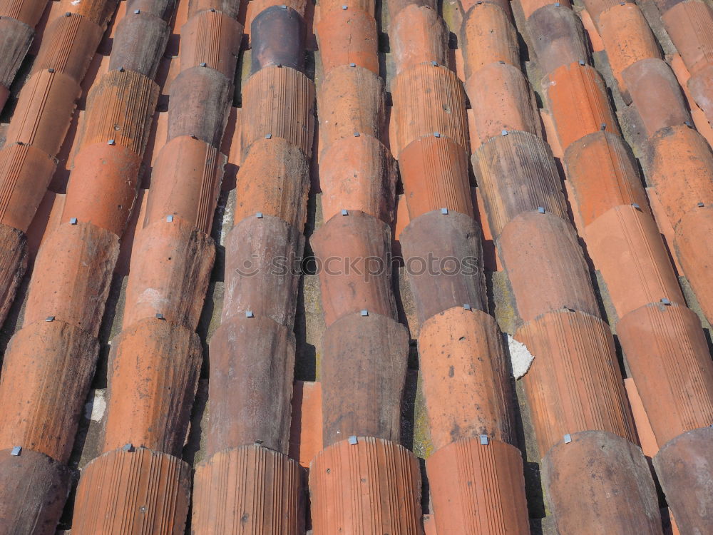 Similar – Close-up roof tile texture