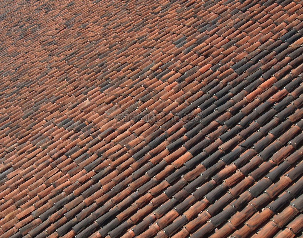 Similar – Roofs, roofs, gables, old town of Quedlinburg