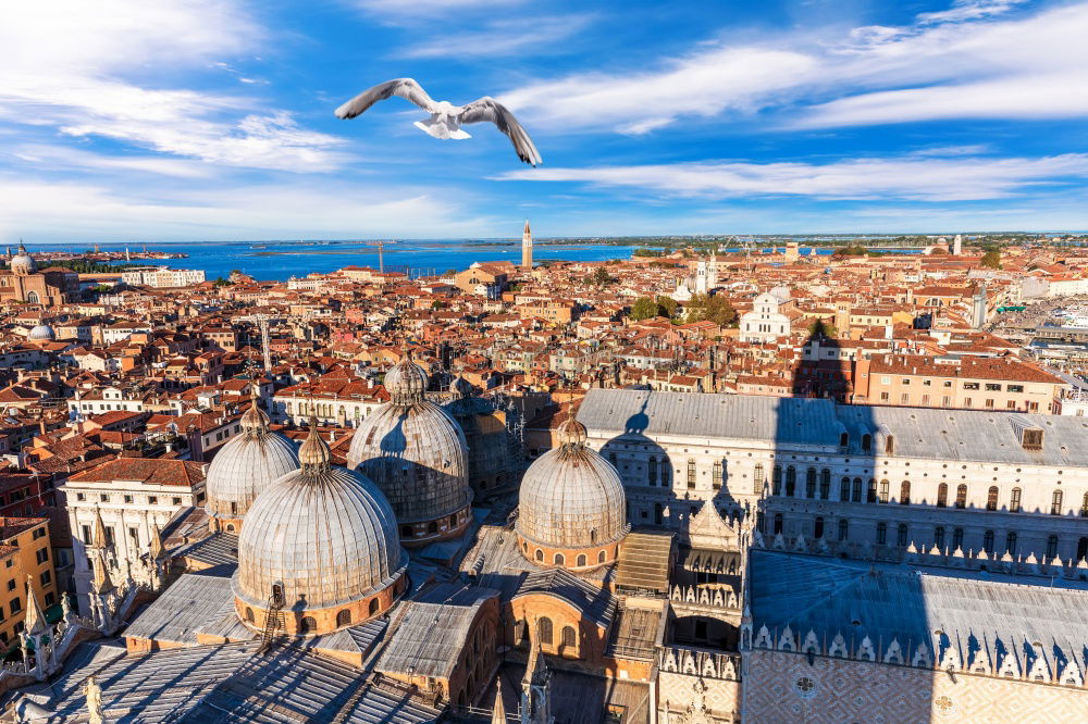 Image, Stock Photo Aerial view of Venice from the bell tower