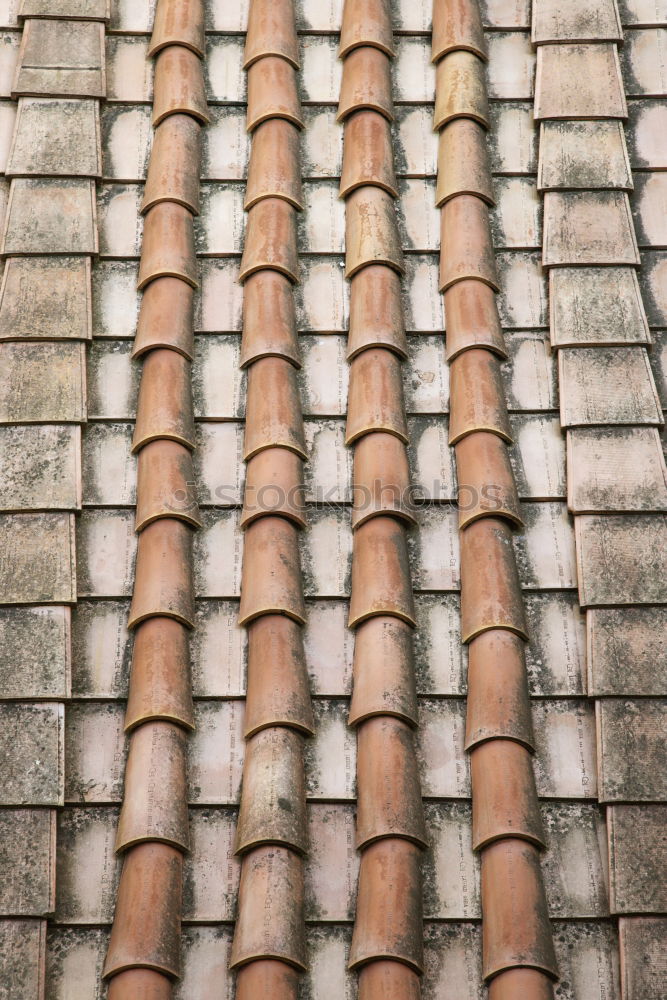 Similar – Old roof tiles on house wall