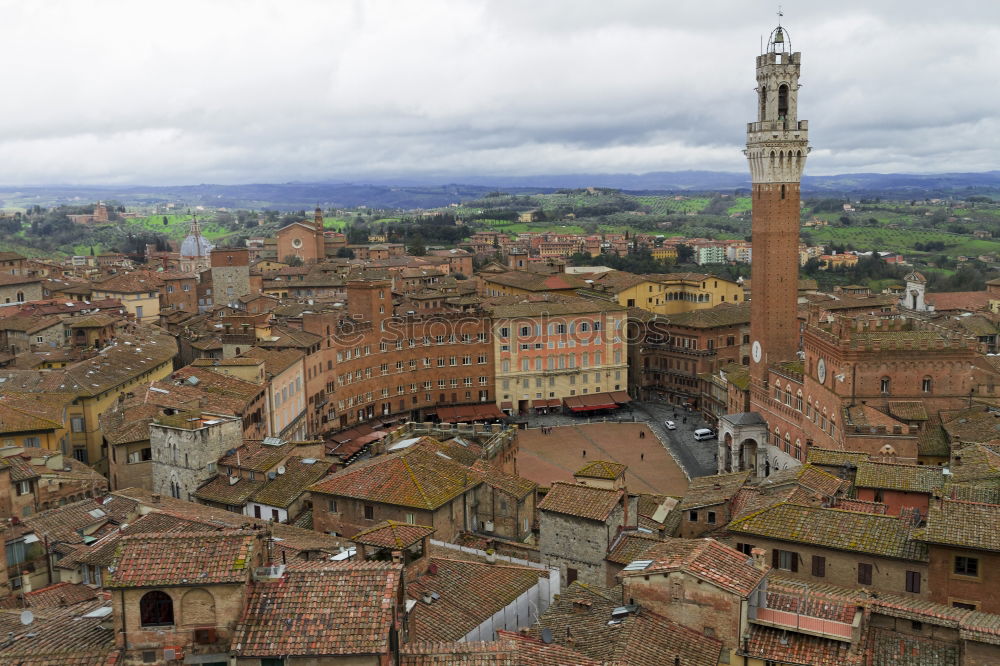 Similar – Image, Stock Photo Piazza del Campo