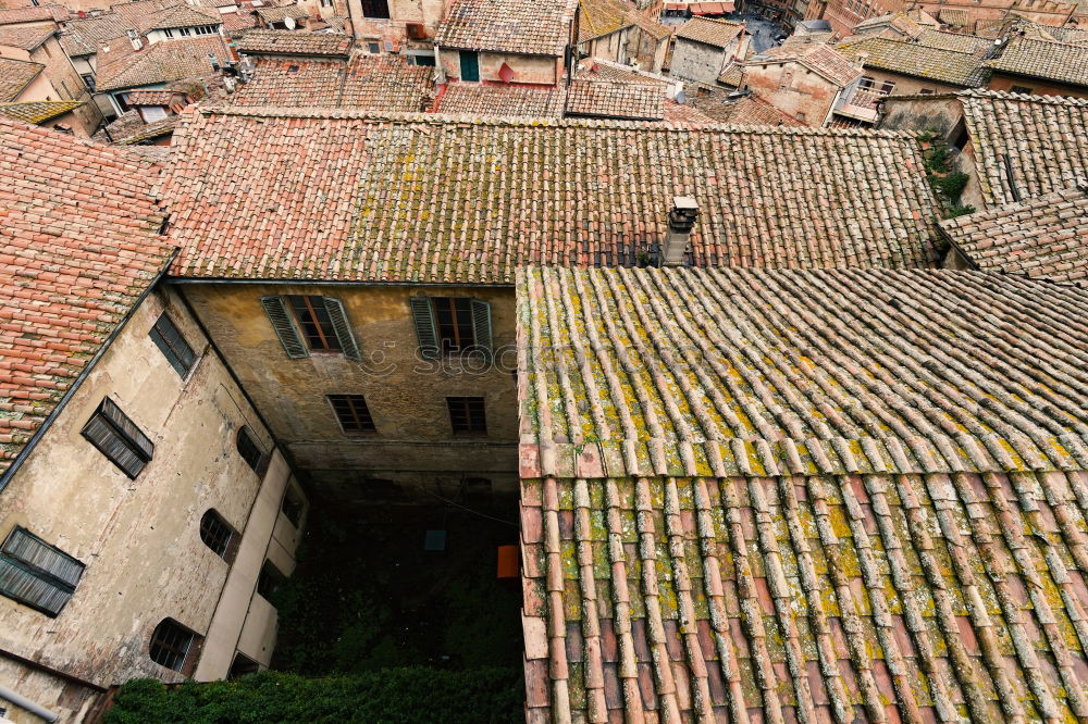 Similar – Mediterranean Roof Landscape