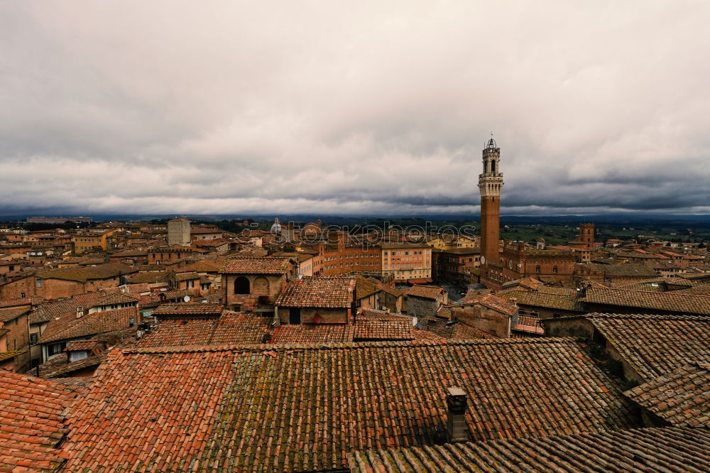 Similar – Image, Stock Photo Piazza del Campo