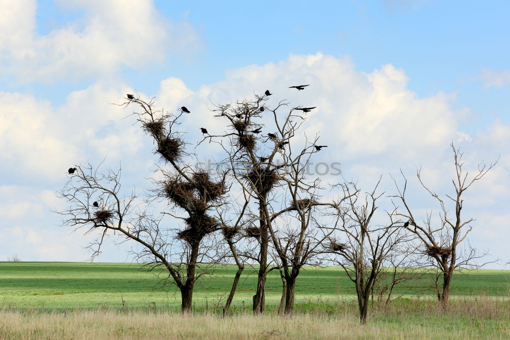 Similar – Image, Stock Photo dirt road Environment