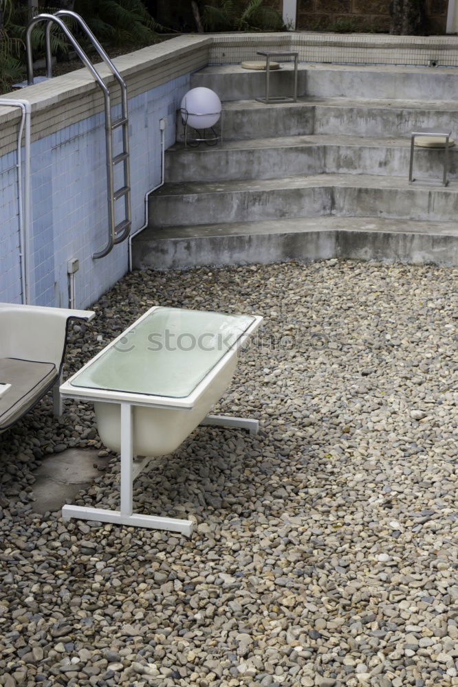 Similar – Image, Stock Photo Water lilies in the bathtub