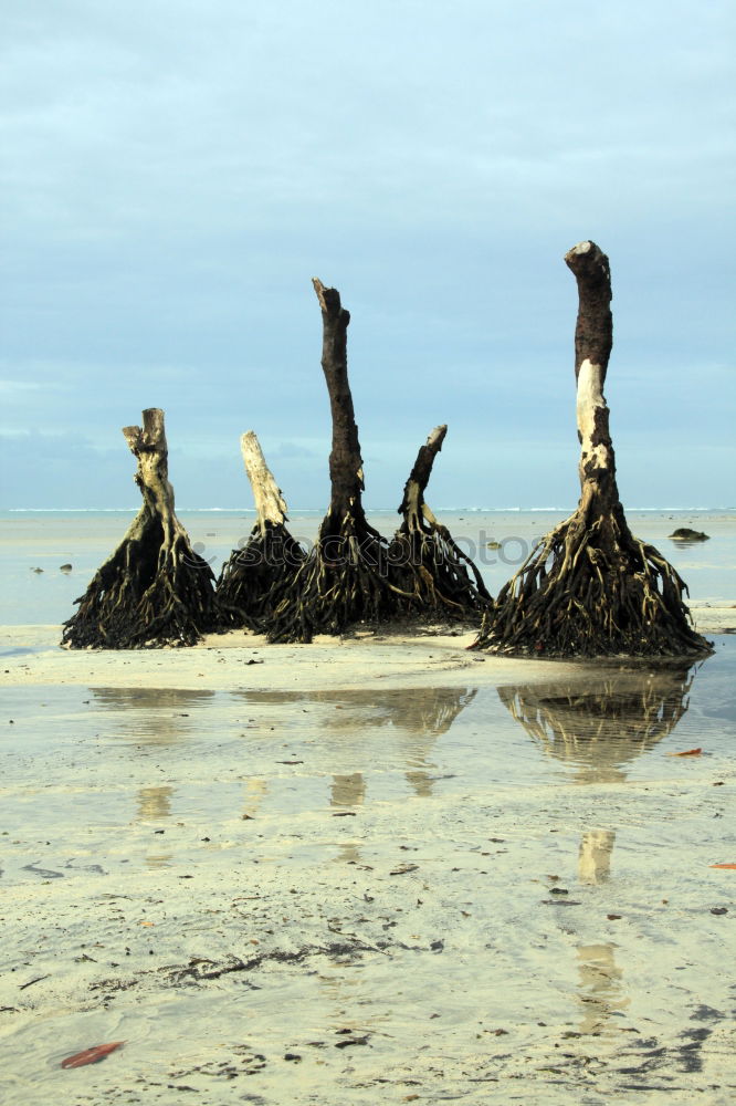 Similar – Image, Stock Photo oceanscenes Beach Brazil