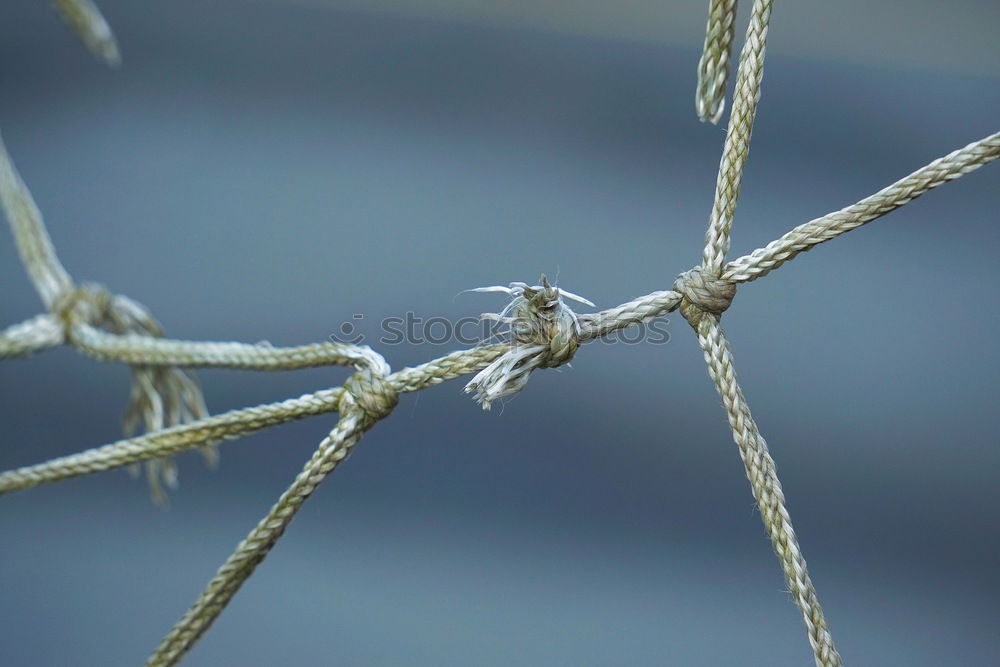 Similar – Image, Stock Photo barbed wire Barbed wire