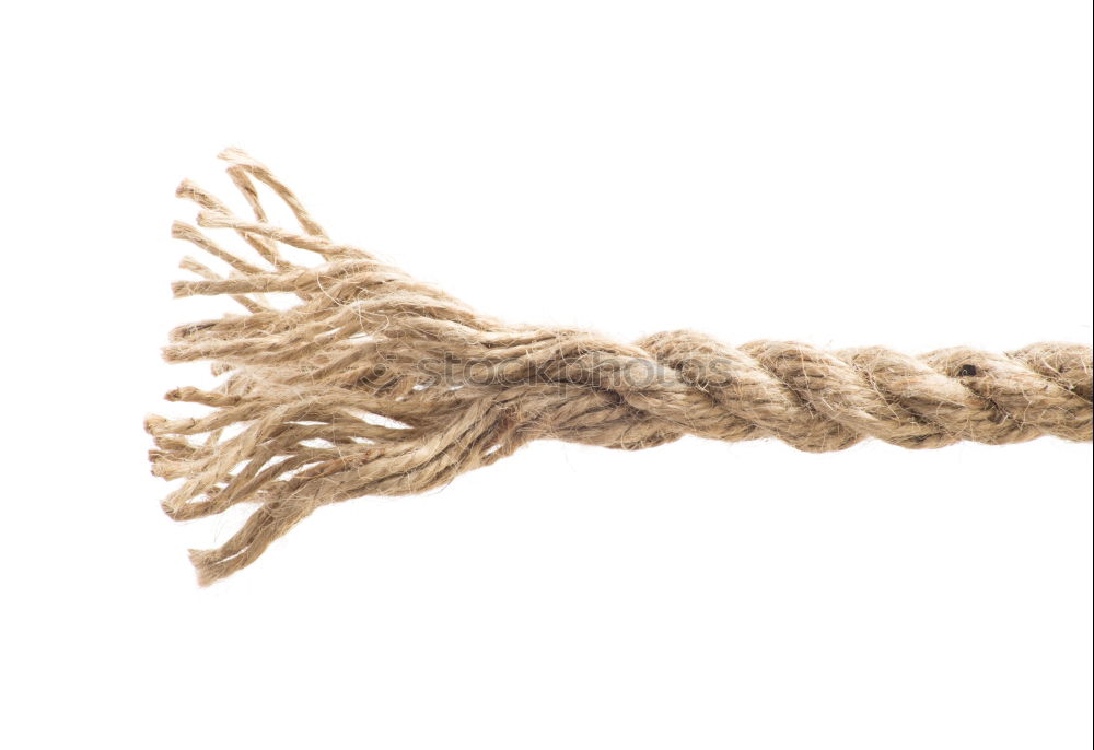 Similar – Bundled Wood Brown String