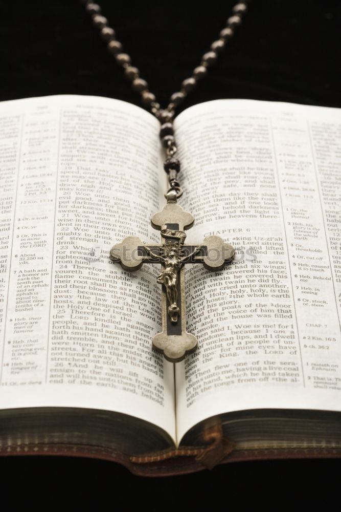 Similar – Image, Stock Photo A hand that holds a Bible in the air