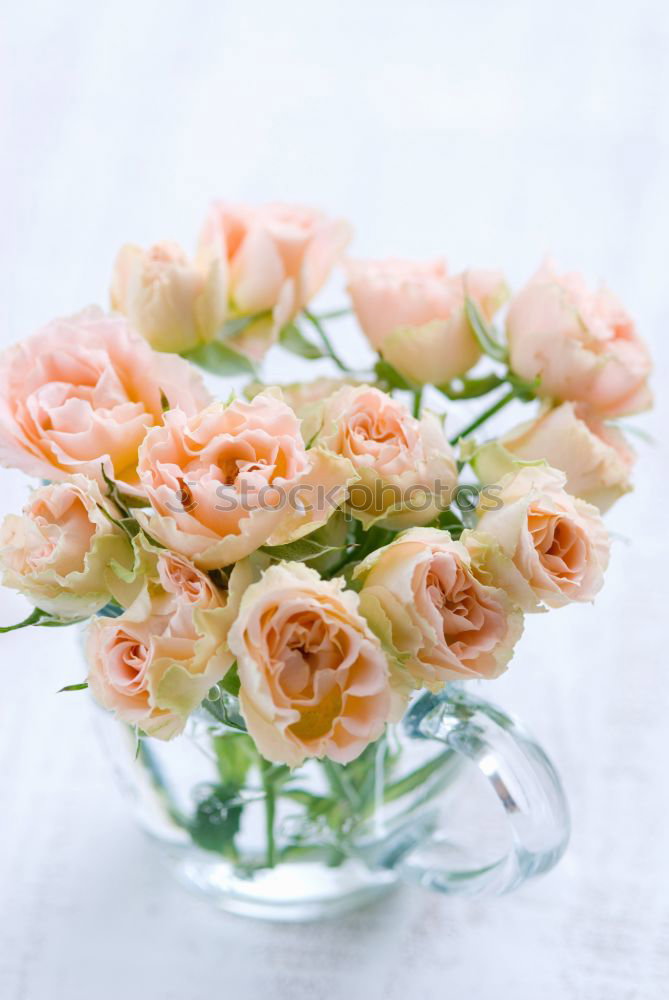 Similar – Image, Stock Photo Three roses in glass vase on white tablecloth