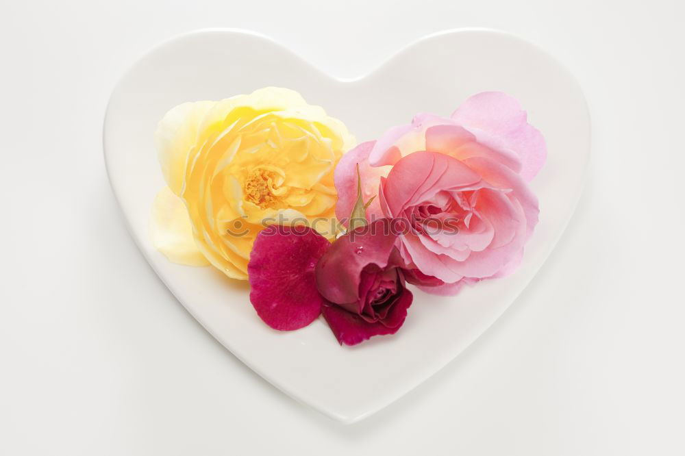 Similar – Image, Stock Photo Rose blossom heart Style