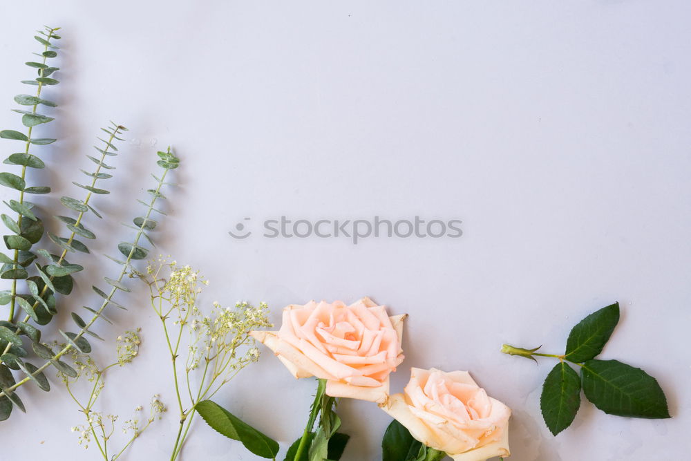 Similar – Image, Stock Photo Pack bouquet step by step 6