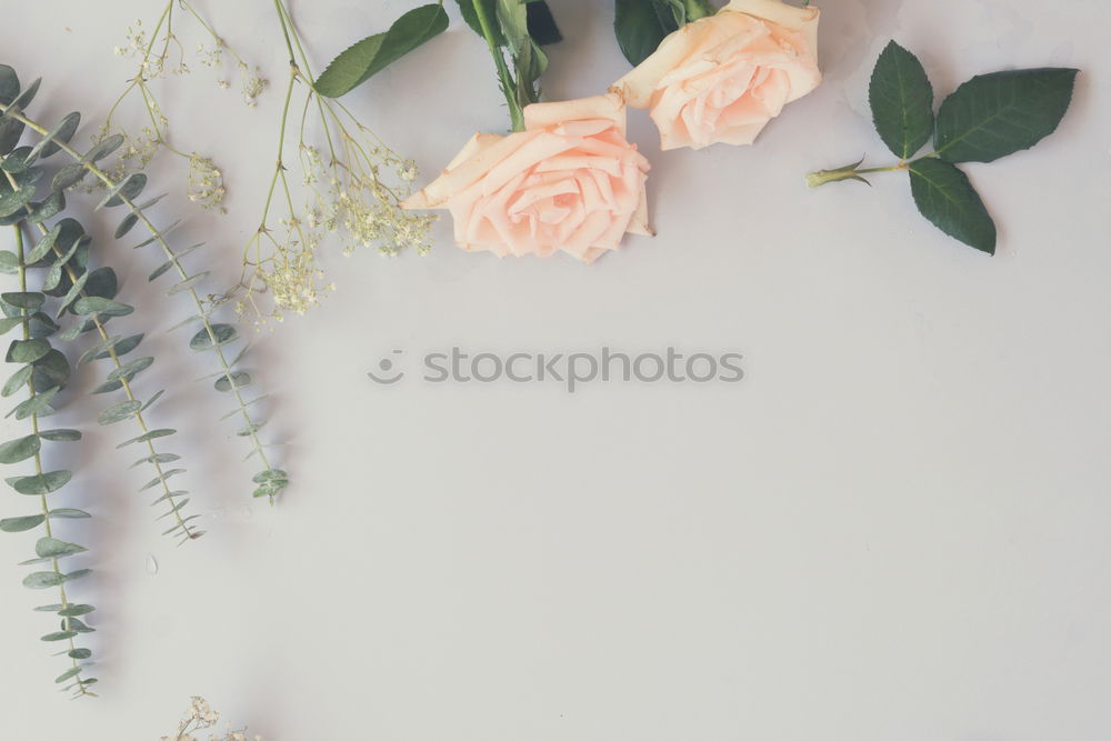 Wonderful fresh flowers in vase