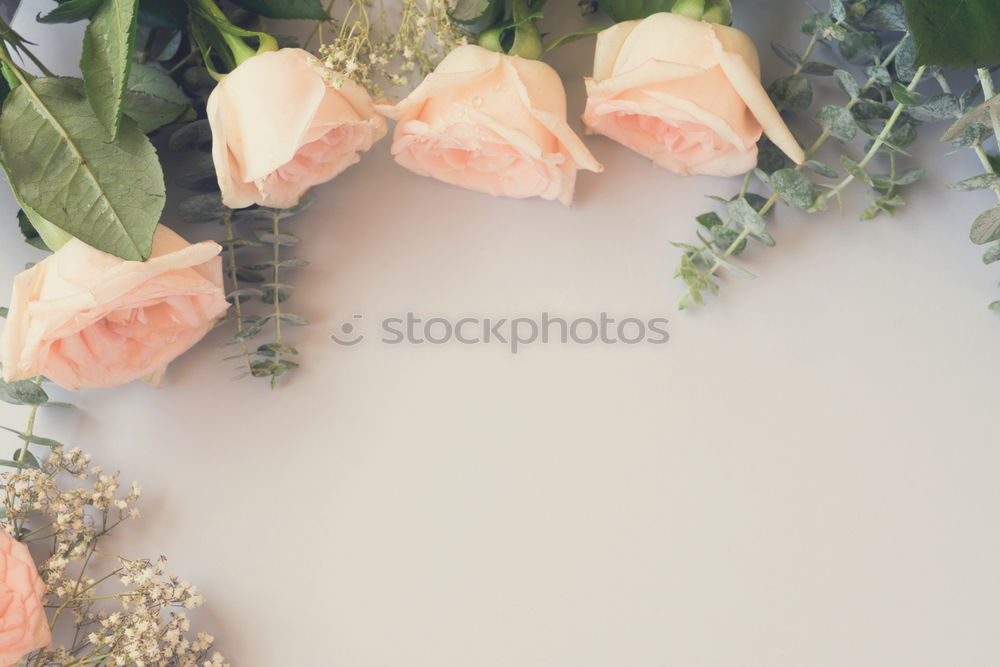 Similar – Image, Stock Photo Decorative bunch of plants in a ceramic teapot