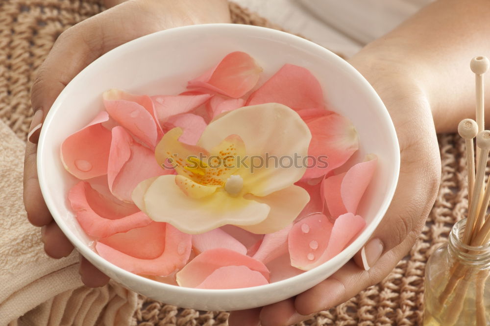 Similar – Image, Stock Photo Honey spoon on honeycomb with fresh flowers