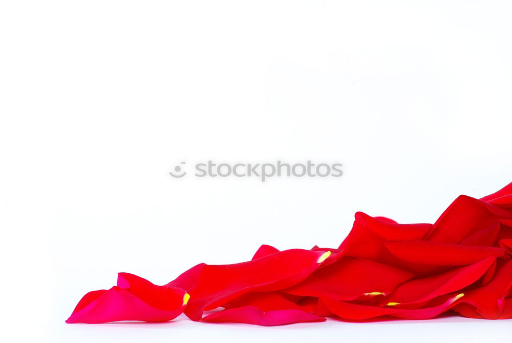 Similar – Image, Stock Photo Cupid Eros Love Affection