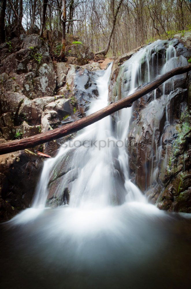 Similar – Image, Stock Photo nature 6.6 Nature Elements