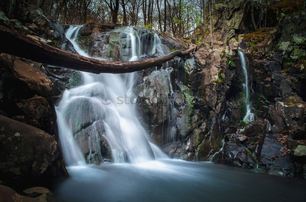Similar – Image, Stock Photo Creek with waterfall in forest near Ullapool in Scotland